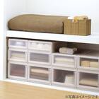 【ネット限定色】【奥行55cm】クローゼット用フィッツユニットケース (幅45cm×高さ20cm  アイボリー) 8枚目画像