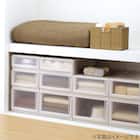 【ネット限定色】【奥行55cm】クローゼット用フィッツユニットケース (幅45cm×高さ20cm アイボリー) 8枚目画像