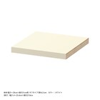 奥行31cm用 追加棚板【タフ棚板】 (ラック本体幅25-29cm)