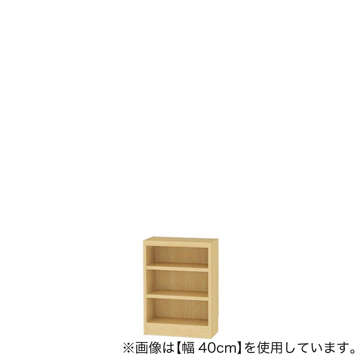 セミオーダーラック強化棚 奥行19cm (幅40×高さ60cm NA
