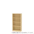 セミオーダーラック強化棚 奥行29cm (幅60×高さ120cm NA) 1枚目画像