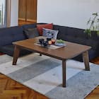 フラットヒーターこたつ(120BR) 1枚目画像