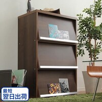 【最短翌日出荷】フラップチェスト フラップドア3枚タイプ (60-F3 幅60cm WAL)