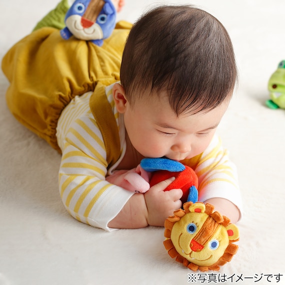 スライダー画像