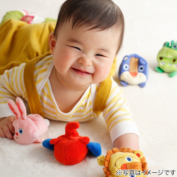 スライダー画像