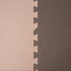 抗菌大判パズルマット３０Pセット（約６畳用）(ダークブラウン×ブラウン) 5枚目画像