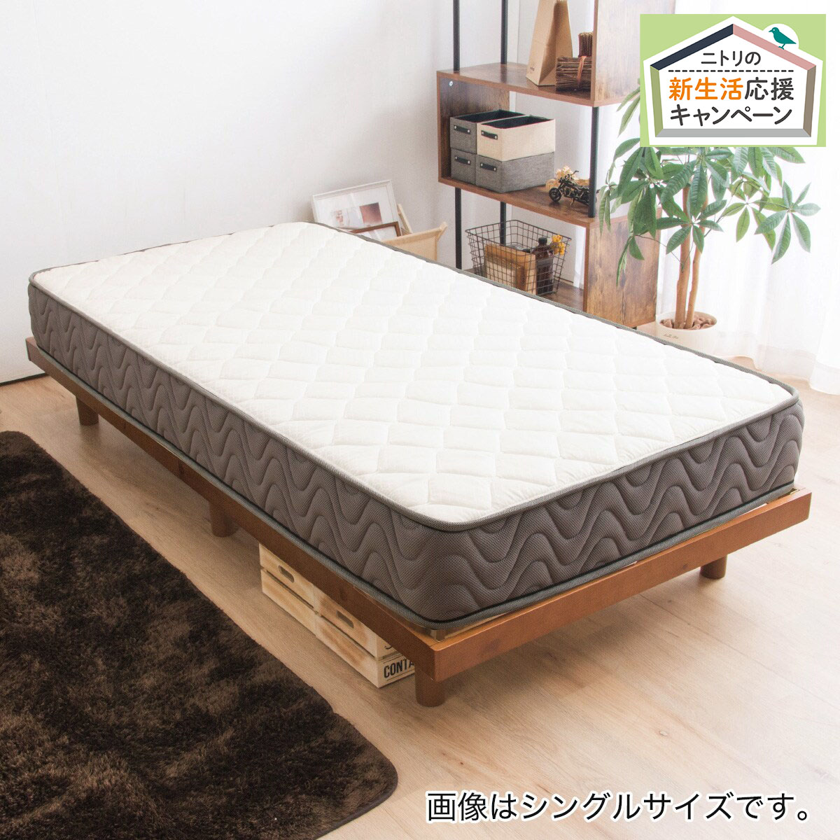 ベッド おしゃれ 安いの検索結果 ニトリネット 公式 家具 インテリア通販 2ページ目 ベッド おしゃれ 安いの検索結果 ニトリネット 公式 家具 インテリア通販 2ページ目