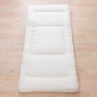 ボリューム・防ダニ・抗菌防臭・吸汗組布団4点セット(カバー無し) ダブル(D) 9枚目画像