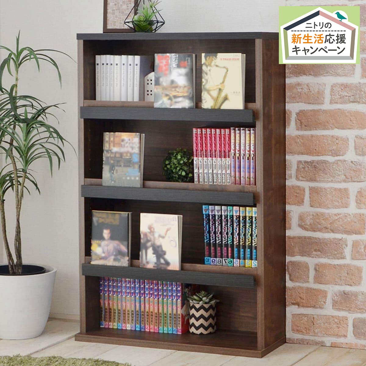 ディスプレイもできるコミック 漫画本ラック通販 ニトリネット 公式 家具 インテリア通販