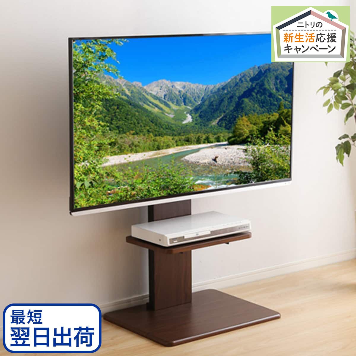 最大70％オフ！ TV固定ボード MX50 ニトリ テレビボード用 nikko-b.sakura.ne.jp