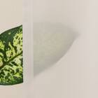 【一人暮らし・寝室に】外から見えにくいミラーレース付 遮光1級・遮熱カーテン4枚セット(エコオアシス ブラック 100X110cmセット) 24枚目画像