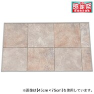 撥水・抗菌・防カビ・床暖対応玄関マット(S-1408)【期間限定価格:11/28~1/5まで】