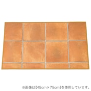 撥水・抗菌・防カビ・床暖対応玄関マット(S-1407)