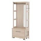 北欧スタイルのハンガーラック (IV) 1枚目画像