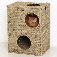 キャットプレイハウス