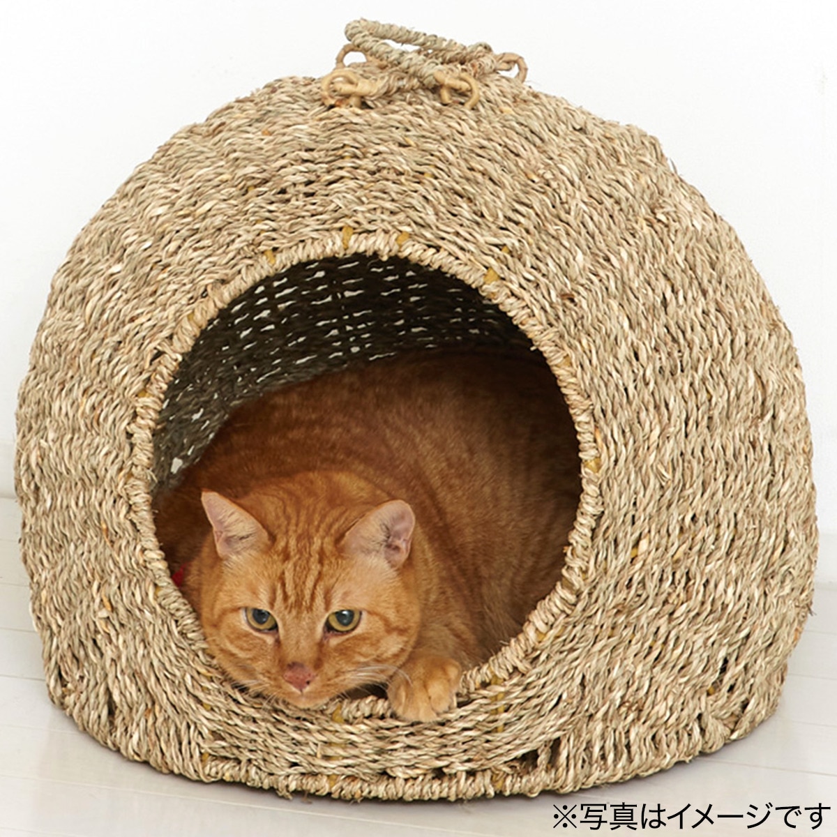 猫ちぐら