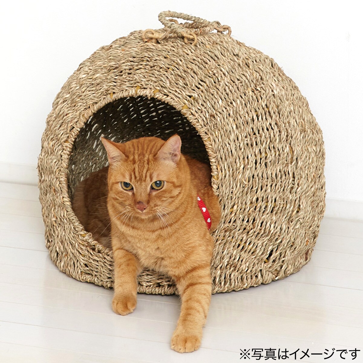 でカゴのこ ちぐら New ペットちぐら 中サイズ マット付き 猫ちぐら つぐら ペットハウス キャット あそび おもちゃ ベッド メーカー直送 ラッピング不可 ホームショッピング 通販 Paypayモール メーカー Www Pediatrichealthcarenw Com