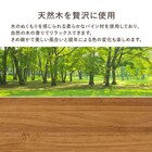 高さ調整可能頑丈すのこベッド (ミドルタイプ シングル LBR) 13枚目画像