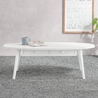 引き出し2個付き楕円形センターテーブル 幅110cm (WW) 1枚目画像