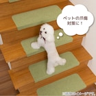 吸着折り曲げ階段マット ワイド 55cm(15枚入 グリーン) 7枚目画像