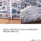 ウィルトン織ラグ グレイズ 約160×225cm 15枚目画像