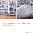 ウィルトン織ラグ グレイズ 約160×225cm 15枚目画像