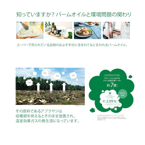 シングル コンセント棚付きステージすのこベッド(BR) 9枚目画像