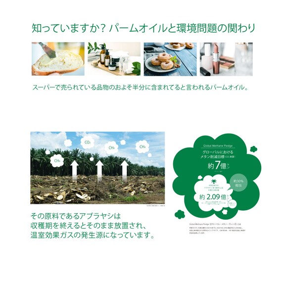 クイーン コンセント棚付きステージすのこベッド(GY) 9枚目画像