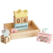 メモリービスケット