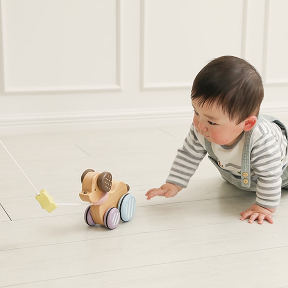 スライダー画像