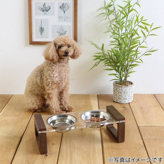 ペット用エサ皿(ブラウン) 3枚目画像