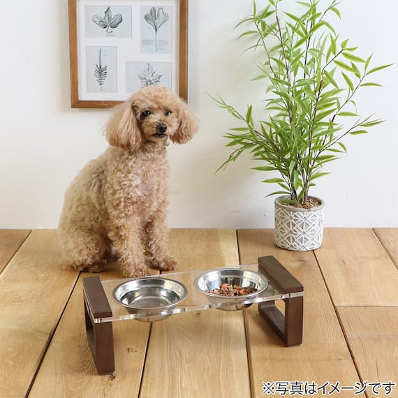 ペット用エサ皿(ブラウン) 3枚目画像