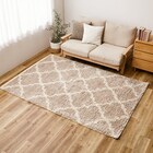 ウィルトンラグ ラリス(BE 130×190) 1枚目画像