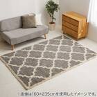 ウィルトンラグ ラリス(GY 160×235) 2枚目画像