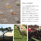 スライダー画像