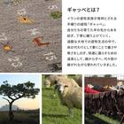 スライダー画像