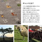 スライダー画像