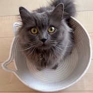 ロープ ペットベッド