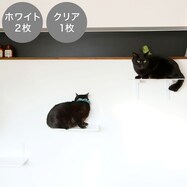 キャットステップ 混合3枚セット(幅35cm ホワイト2枚+クリア1枚 CATROAD+)