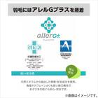 【日本製】ホワイトダックダウン93% 羽毛布団(ムーンシャンテン クイーン) 8枚目画像