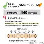 【日本製】ホワイトダックダウン95% 羽毛布団(ムーンシャンテン クイーン) 6枚目画像