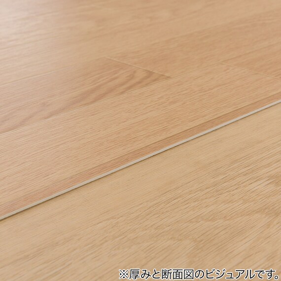 撥水・抗菌・防カビ・床暖対応ラグ(E-1029 江戸間8帖) 7枚目画像