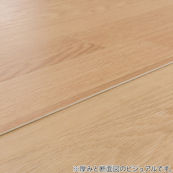 撥水・抗菌・防カビ・床暖対応ラグ(E-1029 江戸間10帖) 7枚目画像