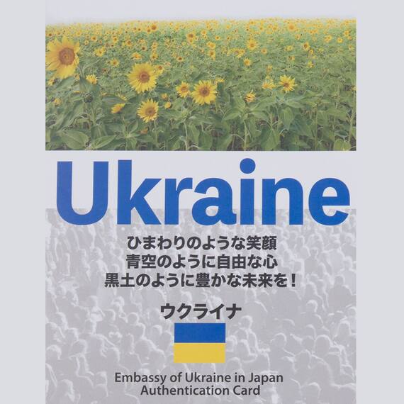 【日本製】ウクライナ産ホワイトダックダウン85% 羽毛布団(贅沢ボリュームアップ セミダブル) 6枚目画像