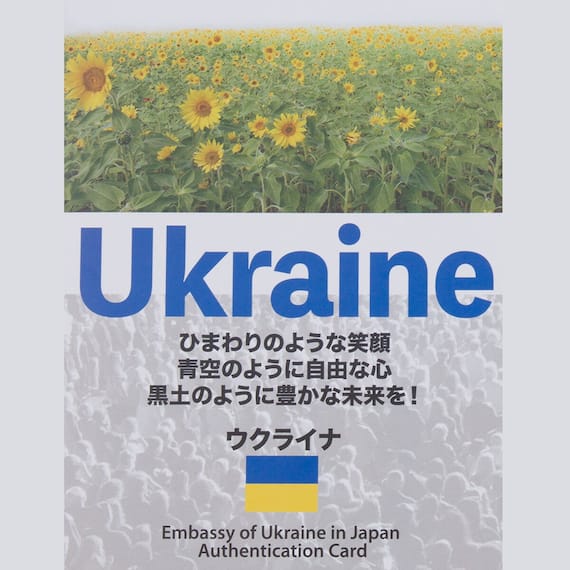 【日本製】ウクライナ産ホワイトダックダウン85% 羽毛布団(贅沢ボリュームアップ セミダブル) 6枚目画像