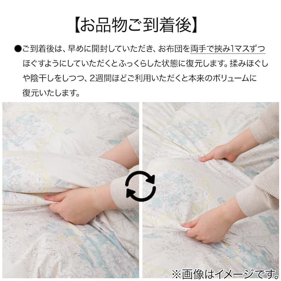 【日本製】ウクライナ産ホワイトダックダウン85% 羽毛布団(贅沢ボリュームアップ セミダブル) 10枚目画像