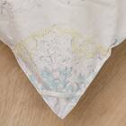 【日本製】ウクライナ産ホワイトダックダウン93% 羽毛布団(贅沢ボリュームアップ ダブル) 17枚目画像