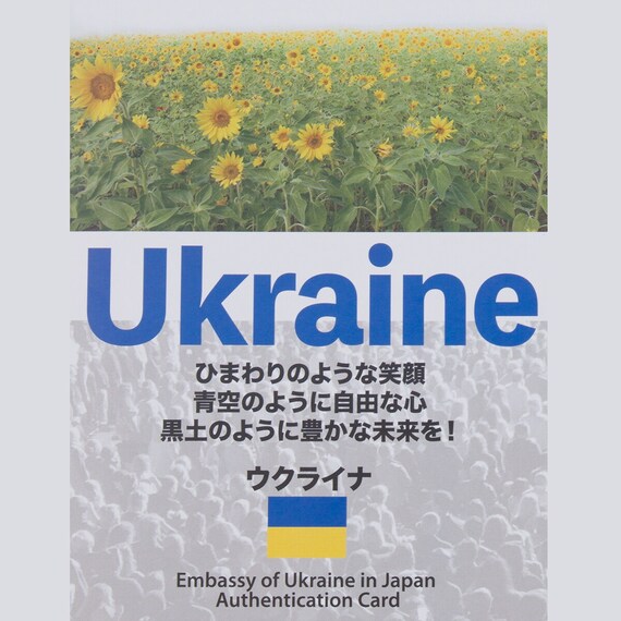 【日本製】ウクライナ産ホワイトグースダウン93% 羽毛布団(贅沢ボリュームアップ クイーン) 6枚目画像