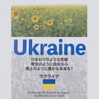 【日本製】ウクライナ産ホワイトグースダウン93% 羽毛布団(贅沢ボリュームアップ クイーン) 6枚目画像