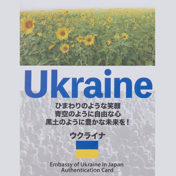 【日本製】ウクライナ産ホワイトグースダウン93% 羽毛布団(贅沢ボリュームアップ クイーン) 6枚目画像